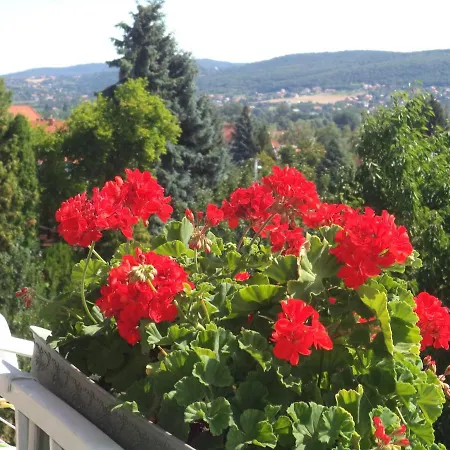 Διαμέρισμα Maria Hévíz