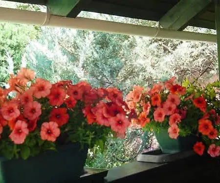 Maria 아파트 Hévíz