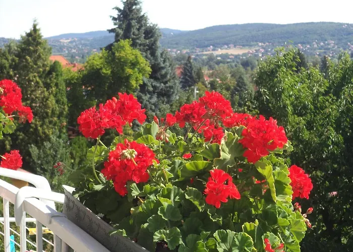 Lägenhet Maria Hévíz