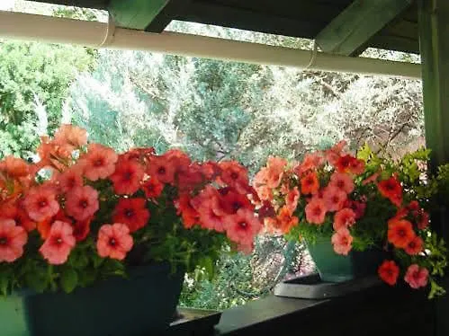 Maria Lägenhet Hévíz